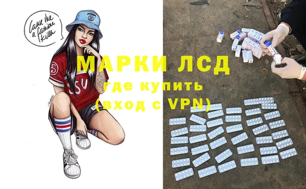 прущие грибы Белоозёрский