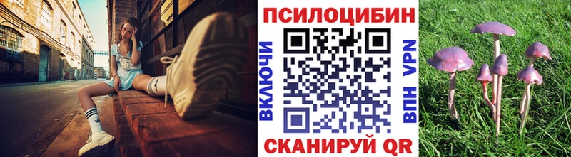 Псилоцибиновые грибы Cubensis  Пикалёво 